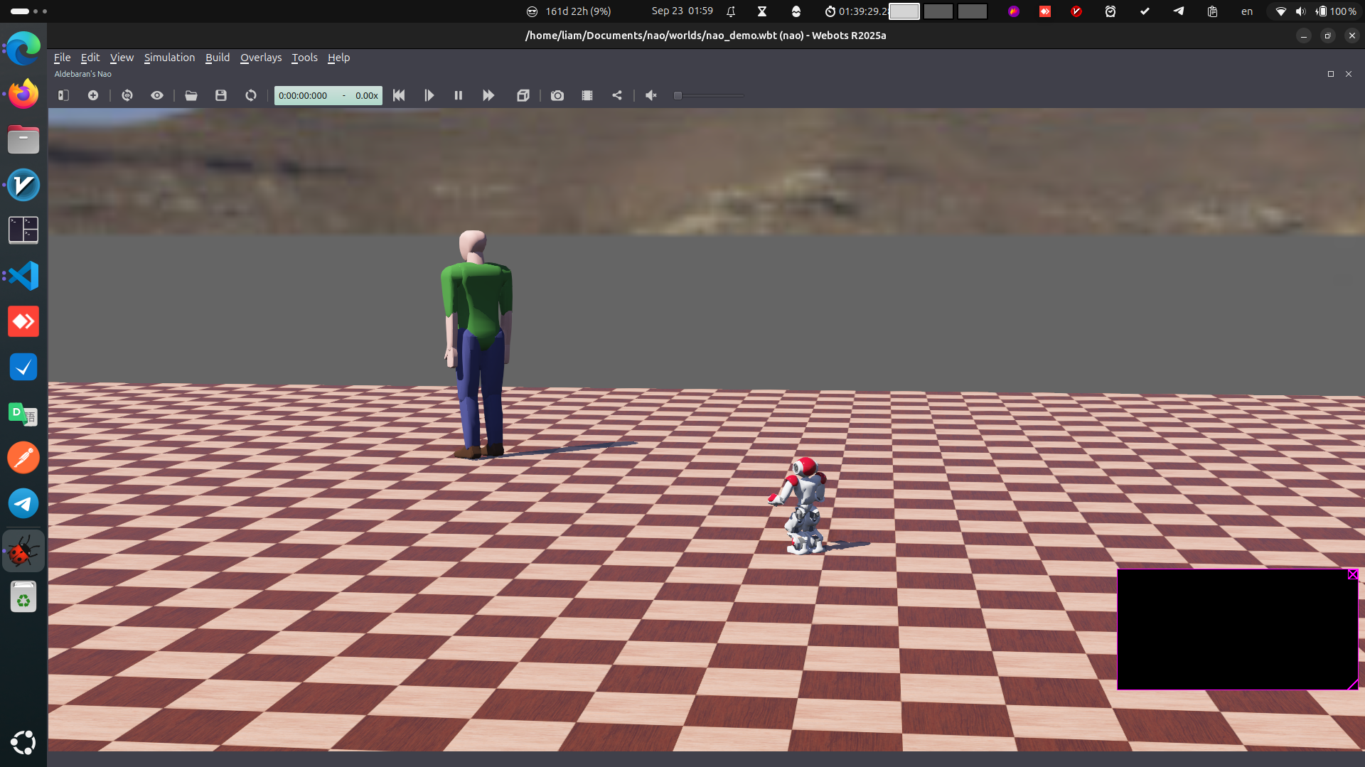 NAO robot motion control preview